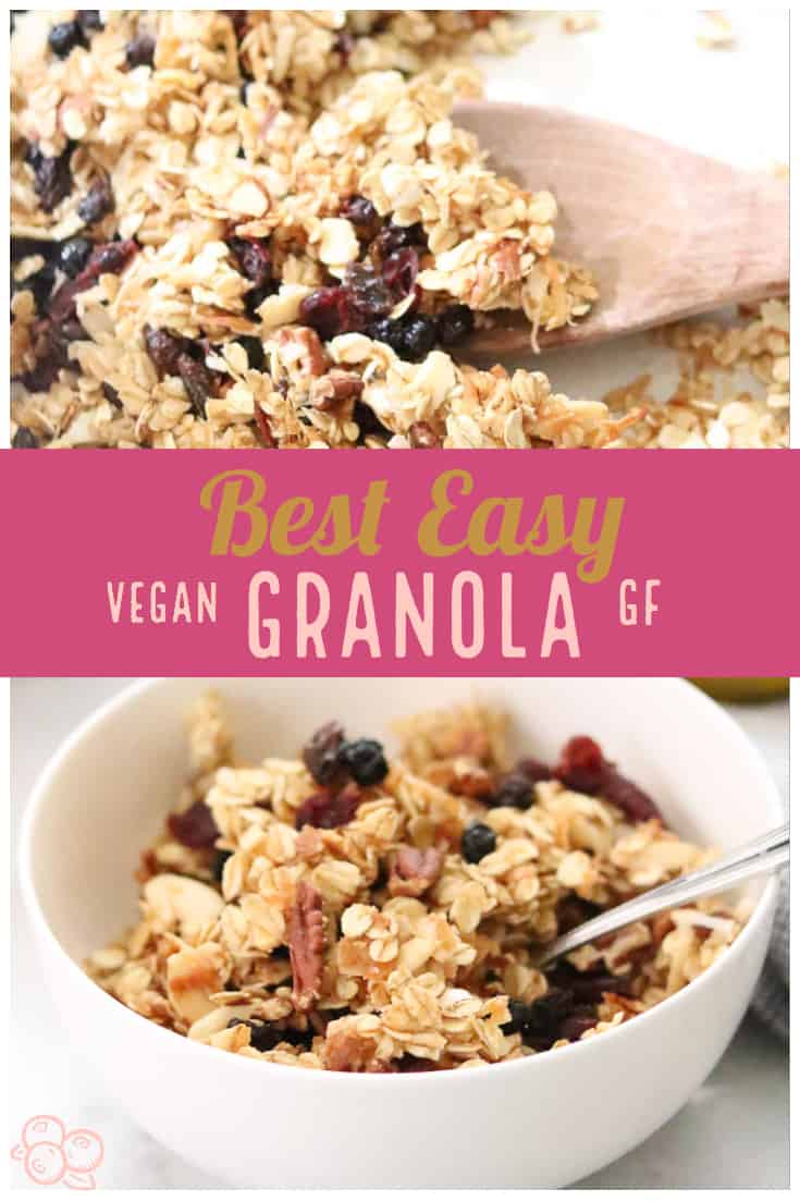 Best Vegan Granola Recipe - Vegan Blueberry