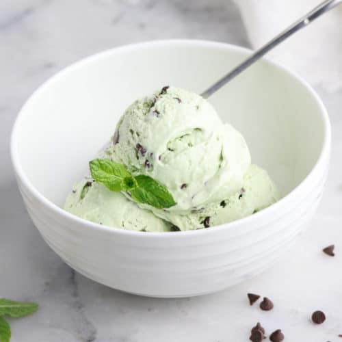 https://www.veganblueberry.com/wp-content/uploads/2020/06/vegan-mint-chocolate-chip-ice-cream-square-3-500x500.jpg