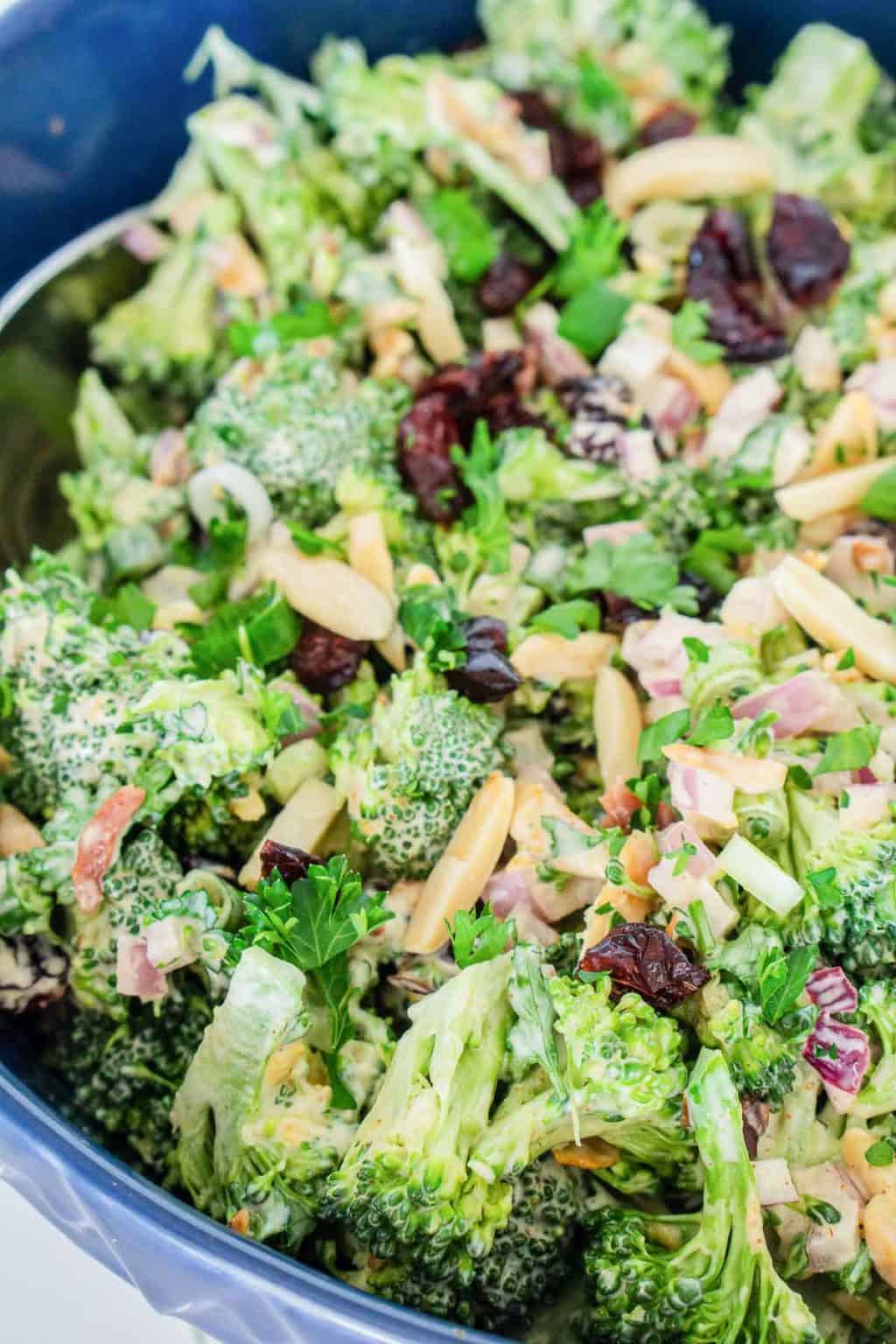 Amazing Vegan Broccoli Salad - Vegan Blueberry